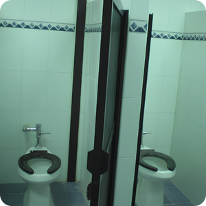 Mantenimiento Preventivo de Vialidad